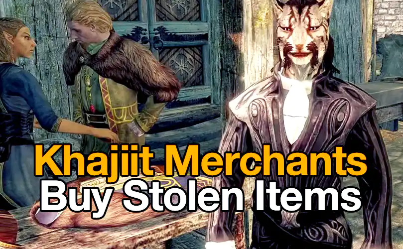 sse khajiit merchant stolen