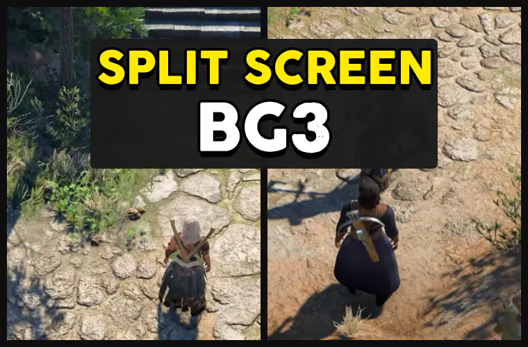 bg3 split screen