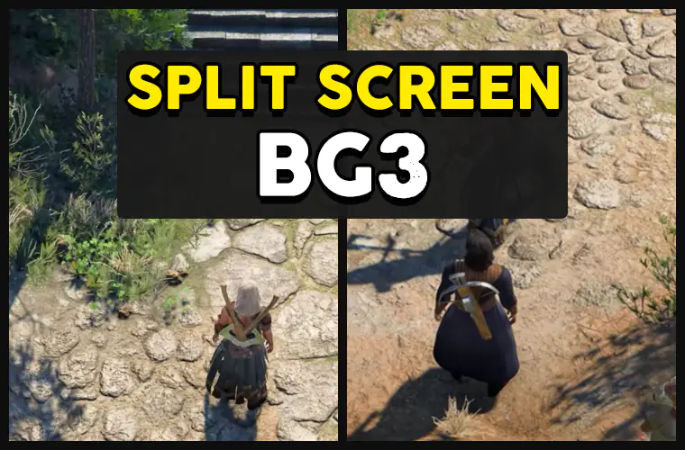 Is There Split Screen for Co-op in Baldur's Gate 3 (BG3)