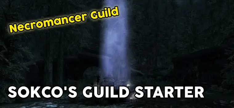 skyrim necromancer guild