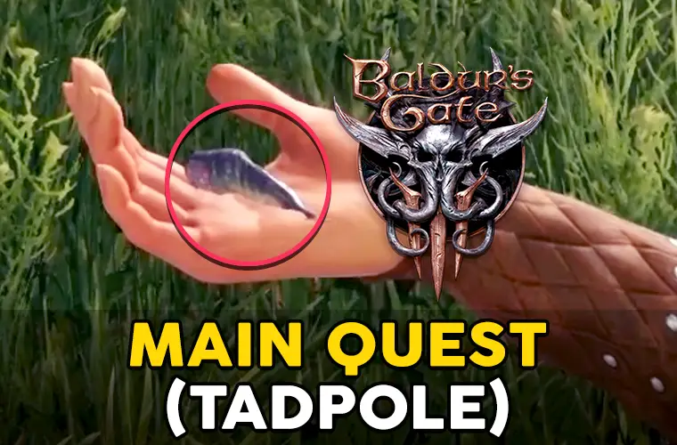 bg3 main quest
