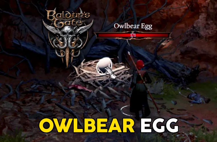 bg3 owlbear egg
