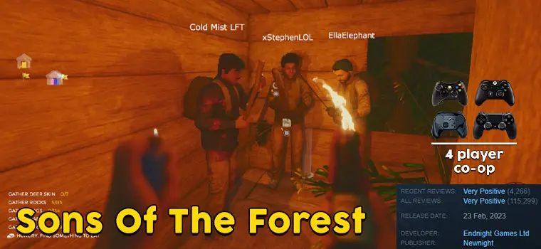 sons of the forest co op