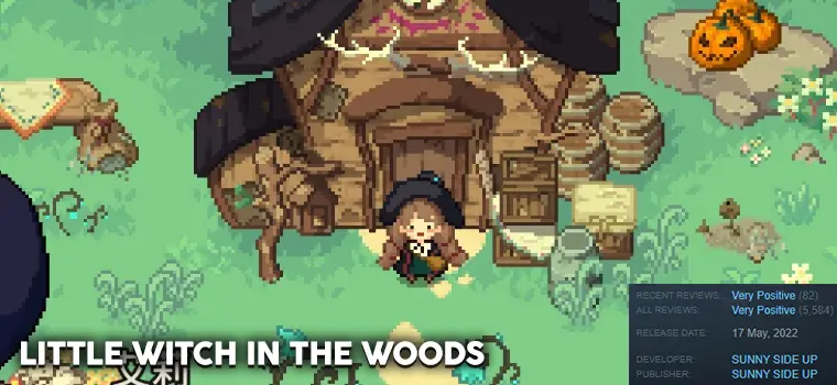 little witch in the woods